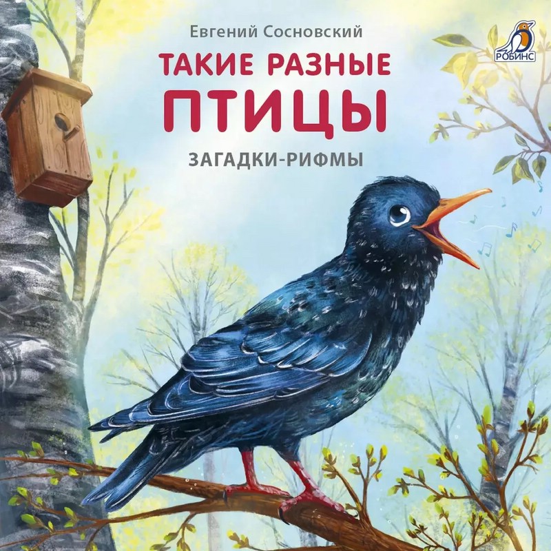 Такие разные птицы. Книжки-картонки, загадки-рифмы