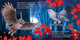 Такие разные птицы. Книжки-картонки, загадки-рифмы 3