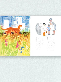 Немножко про кошку 3