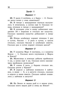 Занимательные задачи по математике. 1-4 классы 11