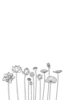 Скетчбук-перевертыш 'Черным по белому / Белым по черному' (обложка с котом) 5