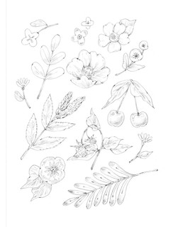 Наедине с собой. Эмоционально-исцеляющая раскраска Aeppol 7