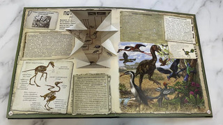 Динозавры, Подарочная интерактивная энциклопедия с окошками, 3D-элементами и pop-up фигурами 9