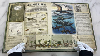 Динозавры, Подарочная интерактивная энциклопедия с окошками, 3D-элементами и pop-up фигурами 4