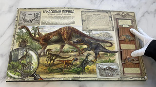 Динозавры, Подарочная интерактивная энциклопедия с окошками, 3D-элементами и pop-up фигурами 5
