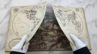 Динозавры, Подарочная интерактивная энциклопедия с окошками, 3D-элементами и pop-up фигурами 6