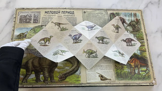 Динозавры, Подарочная интерактивная энциклопедия с окошками, 3D-элементами и pop-up фигурами 7