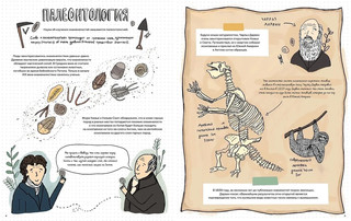 Камни и кости. Окаменелости и что они рассказывают 2