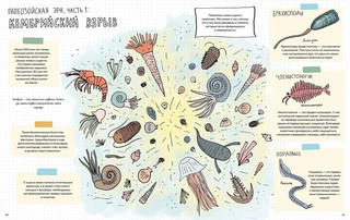 Камни и кости. Окаменелости и что они рассказывают 3