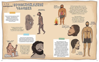 Камни и кости. Окаменелости и что они рассказывают 4