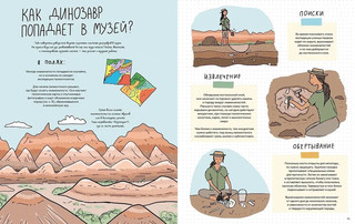 Камни и кости. Окаменелости и что они рассказывают 5