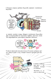 Невероятно наглядная анатомия 11