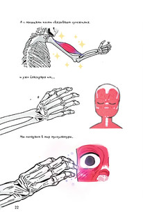 Невероятно наглядная анатомия 14