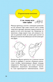 Невероятно наглядная анатомия 16