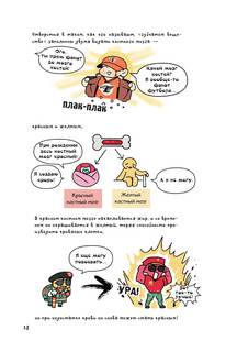 Невероятно наглядная анатомия 10