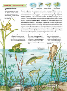 Животные и растения рек, озёр и морей 8