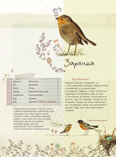 Лучший определитель птиц, насекомых, деревьев от Миранды 11