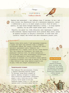 Лучший определитель птиц, насекомых, деревьев от Миранды 10