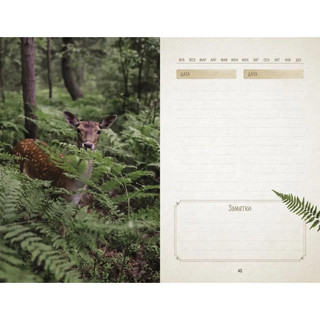 Творчество внутри меня. Следуй к мечте 7