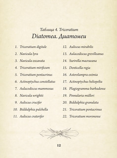 Красота форм в природе. Альбом старинных иллюстраций 14