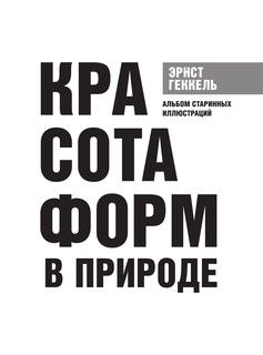 Красота форм в природе. Альбом старинных иллюстраций 3