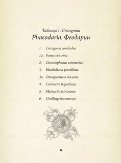Красота форм в природе. Альбом старинных иллюстраций 8