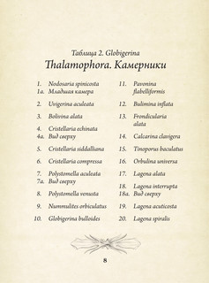 Красота форм в природе. Альбом старинных иллюстраций 10