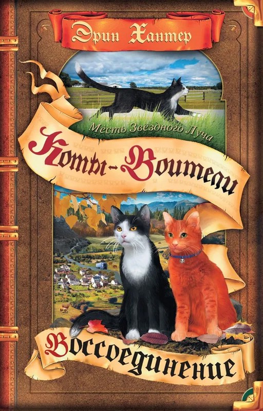 Коты-Воители. Месть Звездного Луча. Воссоединение