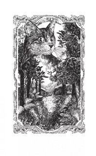 Коты-воители. Тень Когтегрива. Видения 3