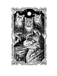 Коты-Воители. Тень Когтегрива. Возвращение 2