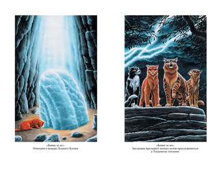 Коты-воители. Опасная тропа. Битва за лес 12