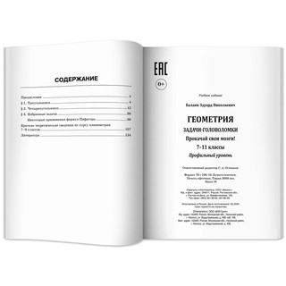 Геометрия, задачи-головоломки, 7-11 классы 8