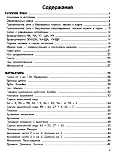 Умный школьник: тренажер-практикум, 2 класс 2