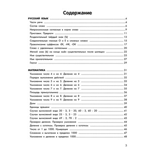 Умный школьник: тренажёр-практикум, 3 класс 2
