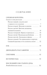 Зимние сказки. Вечные истории. Young Adult 5