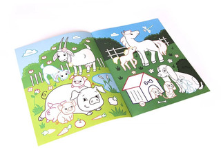 Первые зверушки. Книжка-раскраска 2