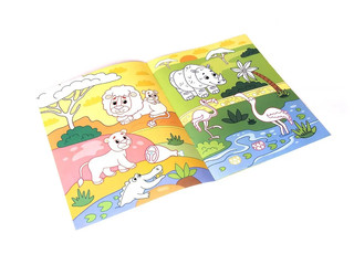 Первый зоопарк. Книжка-раскраска 2