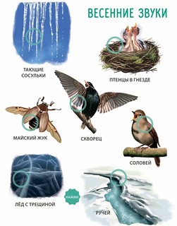 50 звуков, Мир вокруг меня. Музыкалкины книжки 3