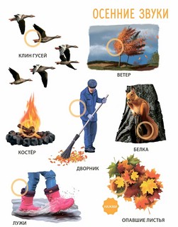 50 звуков, Мир вокруг меня. Музыкалкины книжки 5
