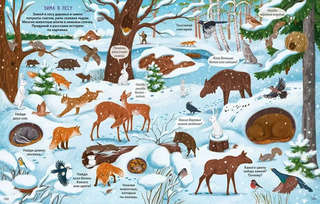 Большая книга виммельбухов 10