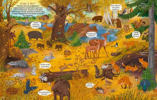 Большая книга виммельбухов 11