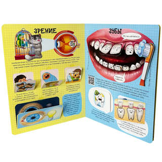 Как устроено твое тело, Энциклопедия с окошками 10