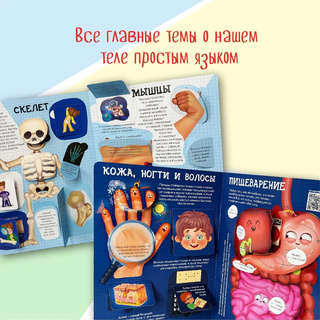 Как устроено твое тело, Энциклопедия с окошками 3