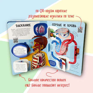 Как устроено твое тело, Энциклопедия с окошками 4