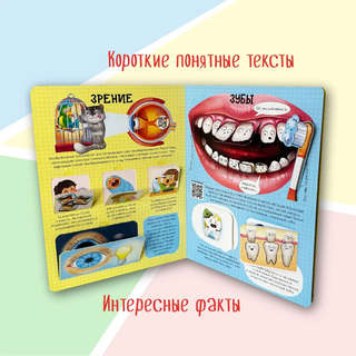 Как устроено твое тело, Энциклопедия с окошками 5