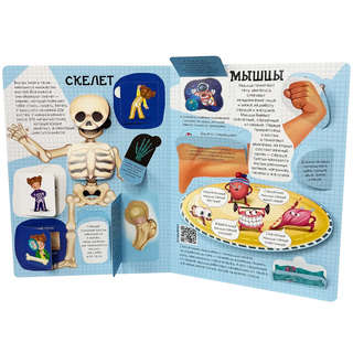 Как устроено твое тело, Энциклопедия с окошками 7