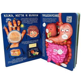 Как устроено твое тело, Энциклопедия с окошками 8