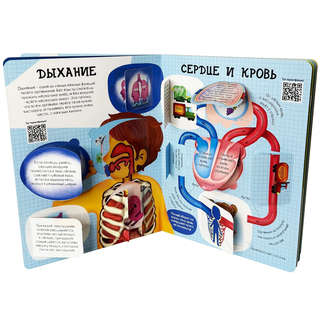 Как устроено твое тело, Энциклопедия с окошками 9