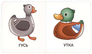 Домашние животные, Мои первые слова, 1-2 года 2