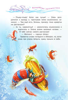 Тайна солнечного дельфина 10